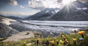 Vorschaubild_Aletschgletscher_VisitLocals