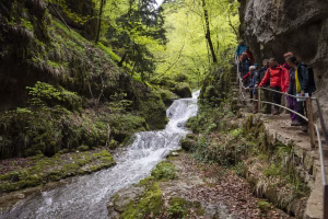 Vorschaubild_Twannbachschlucht_VisitLocals