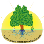 Logo_Erlebniswelt Waldbaden Ostschweiz_Achtsames Waldbaden in der Ostschweiz für Entspannung und Gesundheit._VisitLocals