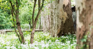 Vorschaubild_Spielplatz Breitematte Basel_Retro-Spieloase mit historischem Charme für alle Generationen_VisitLocals
