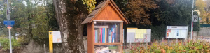 Vorschaubild_Boîte à livres de la Mairie de Thônex_Jederzeit Lesen und Tauschen direkt am Rathaus Thônex._VisitLocals