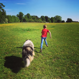 Vorschaubild_Hundespielplatz Horburgpark_Grüne Oase für Hunde im Zentrum von Basel._VisitLocals